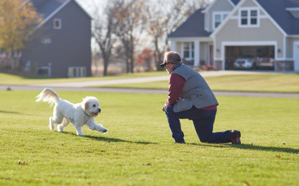 Man playing with dog Man playing with dog