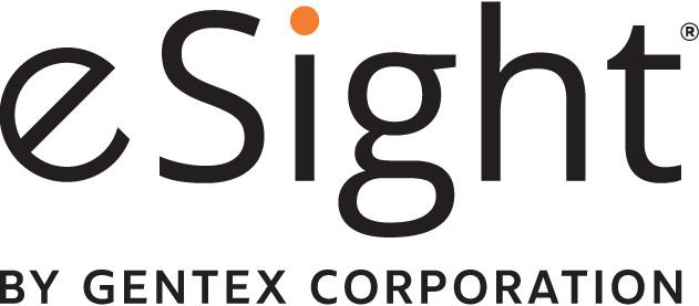 thumbnail_eSight Logo_FullColor eSight Logo